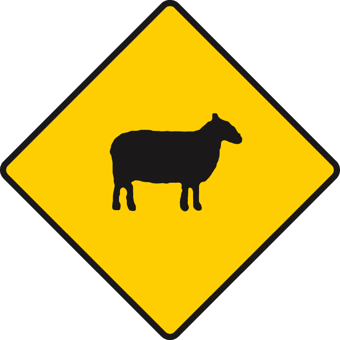 Possibility of sheep ahead