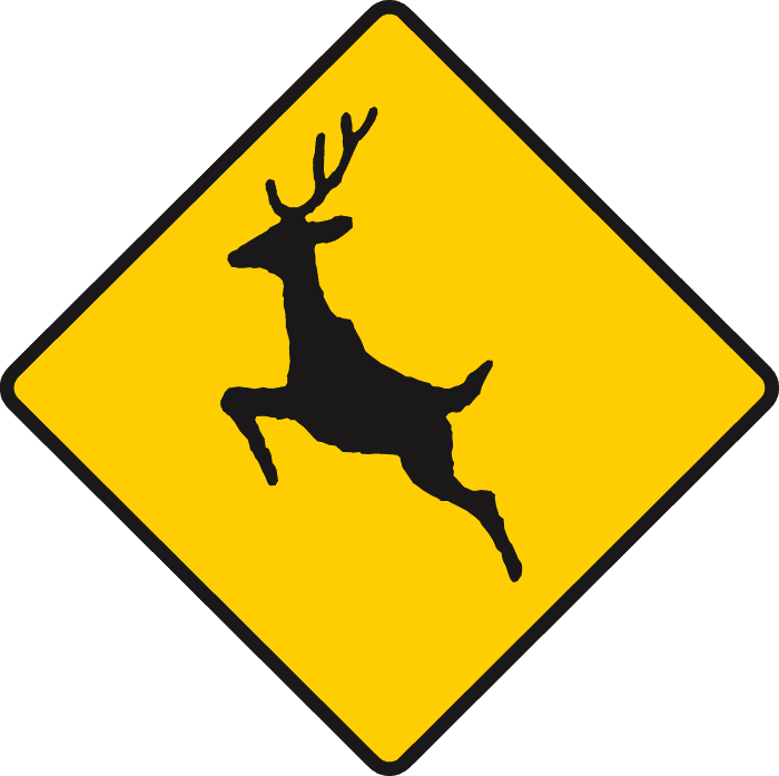 Deer or wild animals ahead